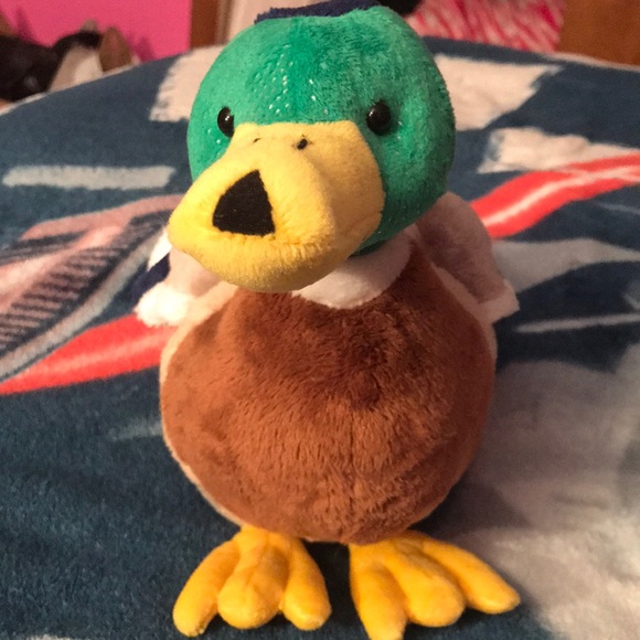 webkinz duck